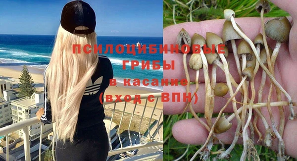 мяу мяу мука Алексеевка