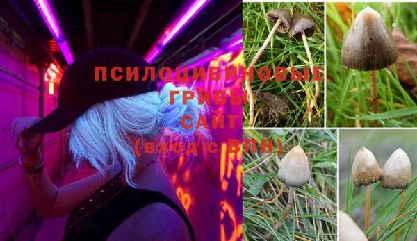 мяу мяу мука Алексеевка
