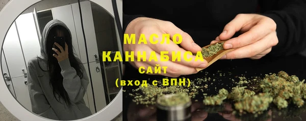 СК Алексин