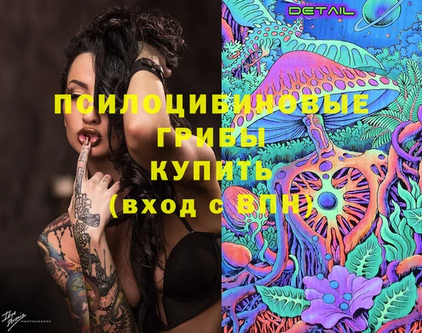 тгк Алзамай