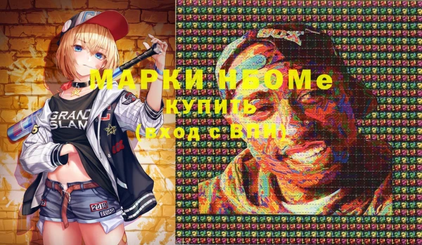 СК Алексин