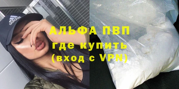 СК Алексин