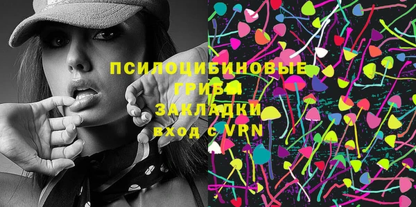 СК Алексин
